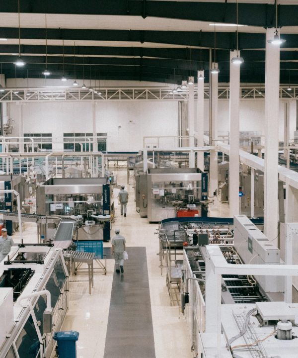 プロフェッショナルモデル